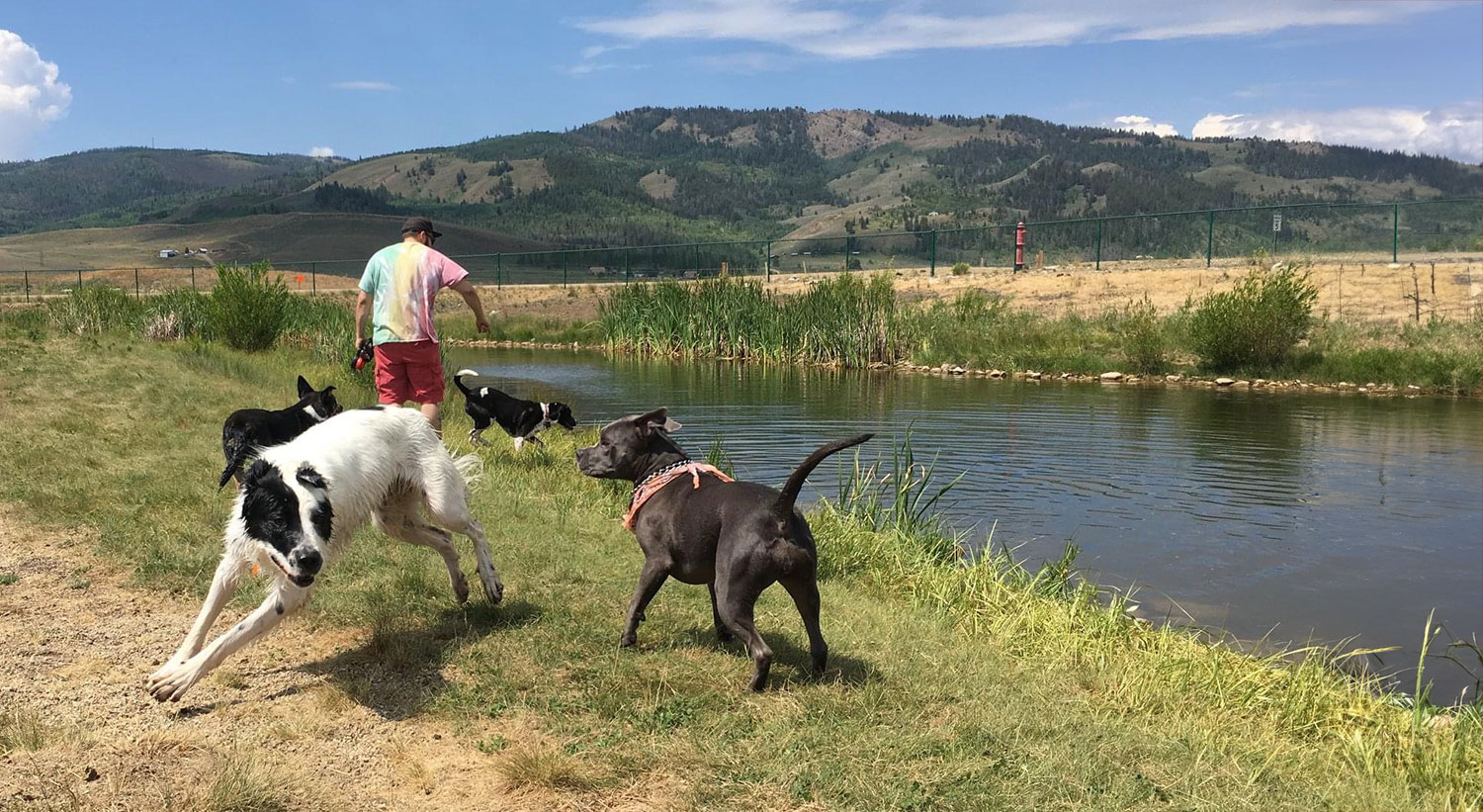 dog park in Granby CO